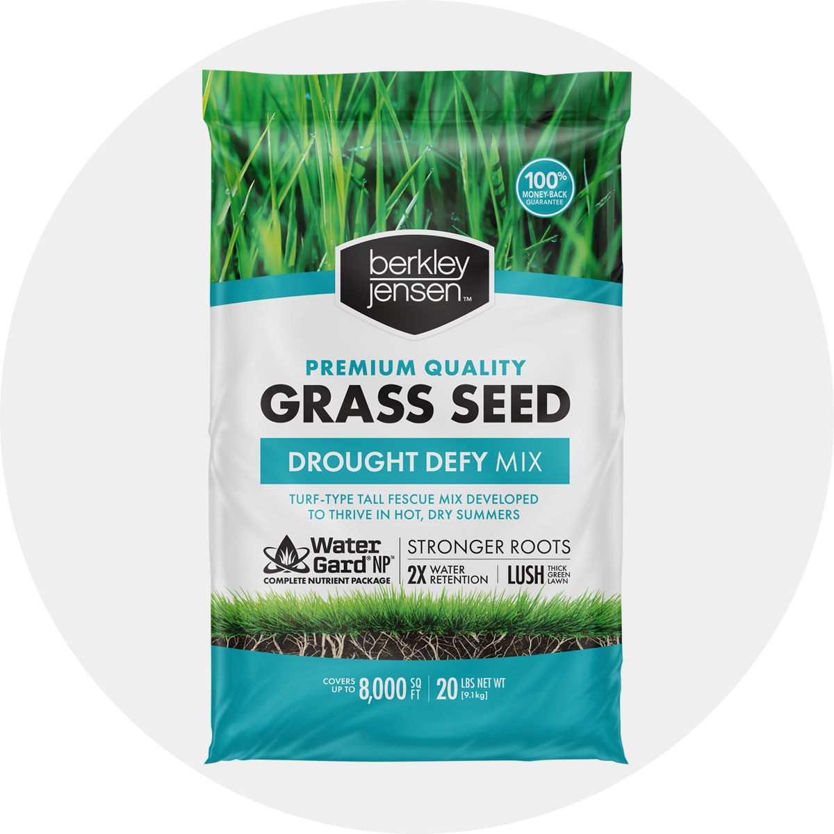 Tall Fescue