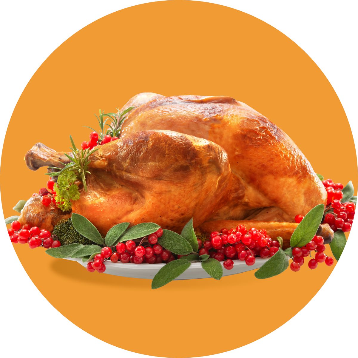 Thanksgiving Favorites